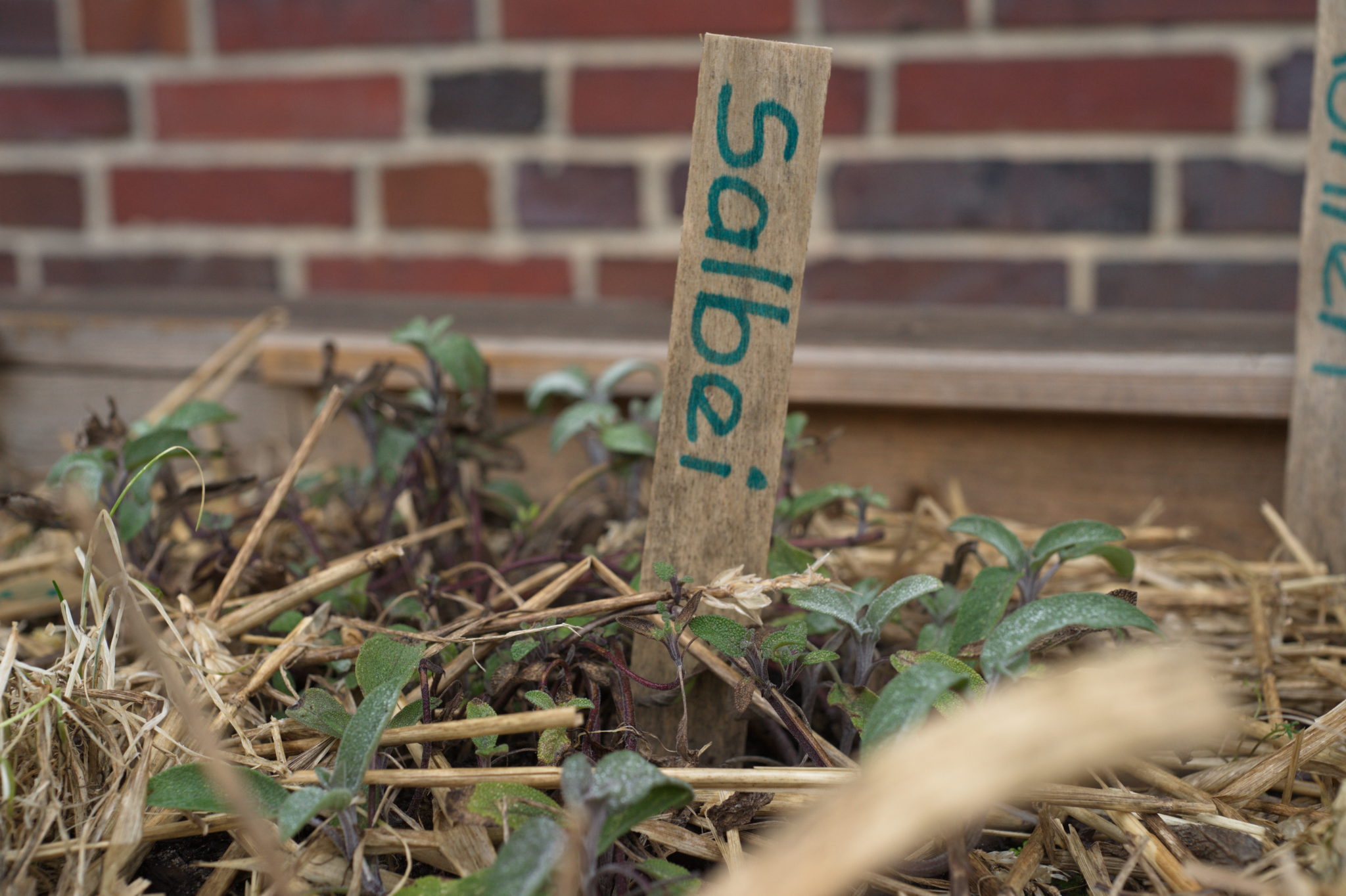 20210228  Gruen(t)raumHeimfeld 012